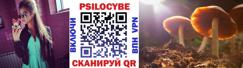Псилоцибиновые грибы MAGIC MUSHROOMS  Купить  Таштагол 